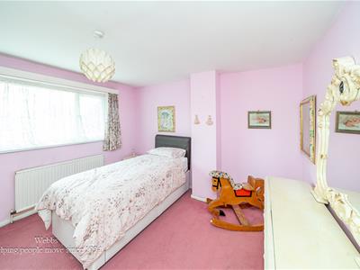 Picture 14